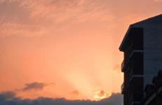 Jungle Sunshine Apartment - Foto 30