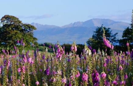 Tighnabruaich Duplex Apartment - Sea Views - Foto 22