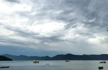 Encanto dos Pássaros - Foto 53