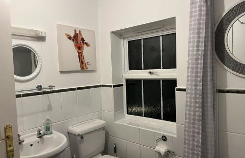 Holthart Town-House, Great for Groups, Families, Pets & Contractors - Photo 15