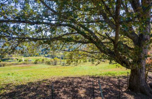 *New Owner Special* Cozy Cabin with mountain views - Foto 25