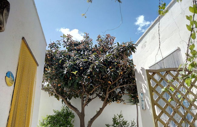 Villa Mediterranea - Foto 16