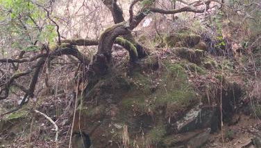 Casinha das Estrelas - Foto 2