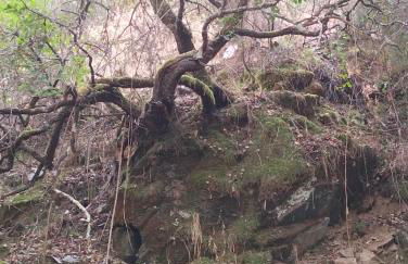 Casinha das Estrelas - Foto 2