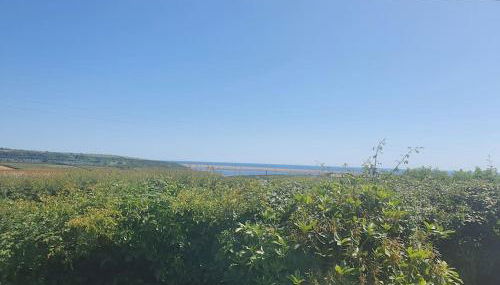 Seaview Self Catering-Fleetview - Foto 5