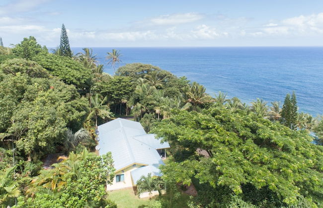 Hamakua Pukana La Hale 3 Bedroom Home by RedAwning - Foto 41