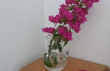 Απέραντο γαλάζιο Le grand blue - Foto 29