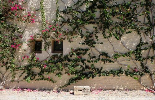 Flattered to be In Algarve - Foto 126