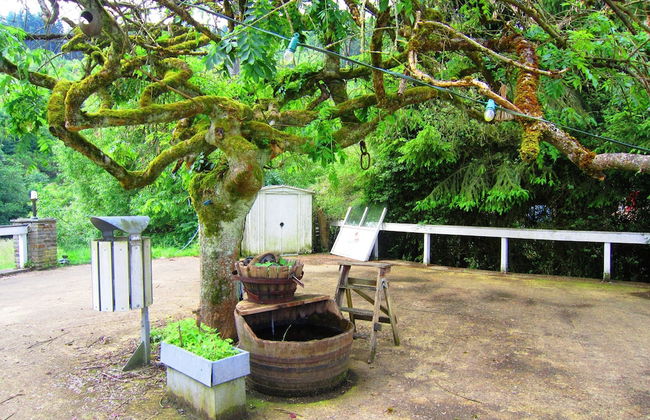 Group Getaway With Sauna - Foto 37