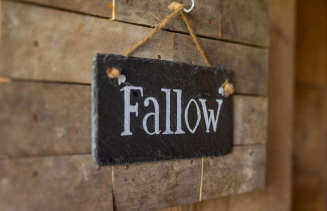 Luxury Safari Lodge Surrounded by Deer!! 'fallow' - Foto 30