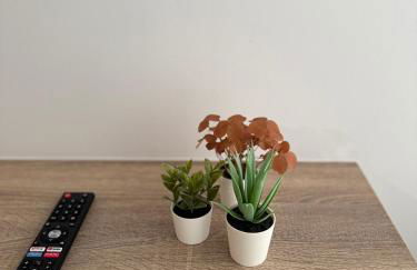 Apartamentos Turisticos Peregrin Palas - Foto 11