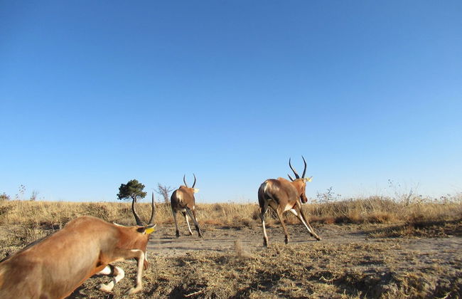Boschfontein Mountain Lodge - Foto 48