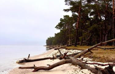 Ferienhaus Isaro - Foto 23