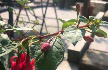 Nancy's Cabin - Foto 25