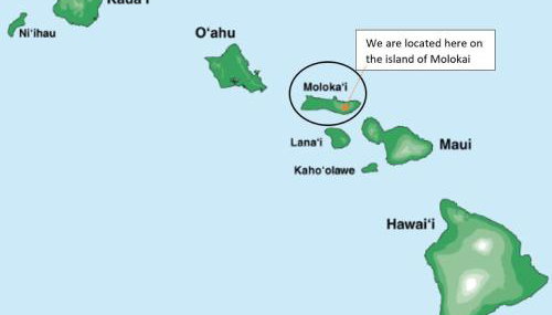 Molokai Island Retreat with Beautiful Ocean Views and Pool - Newly Remodeled! - Foto 3