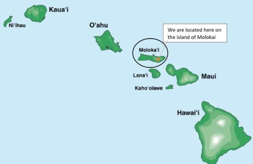 Molokai Island Retreat with Beautiful Ocean Views and Pool - Newly Remodeled! - Foto 3