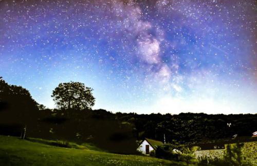 The Roost in the Blackdowns - Photo 18