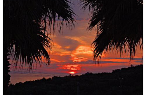 Villa Alex - Foto 59