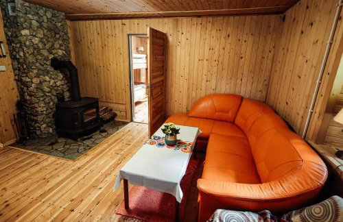 Świerkowe Zacisze Domki - Foto 21