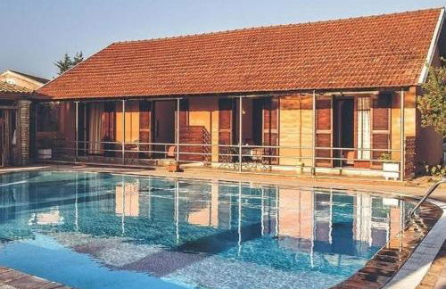 SEAHORSE healing effect - Foto 4