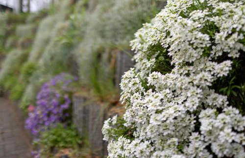 Ferienhaus Günther - Foto 5