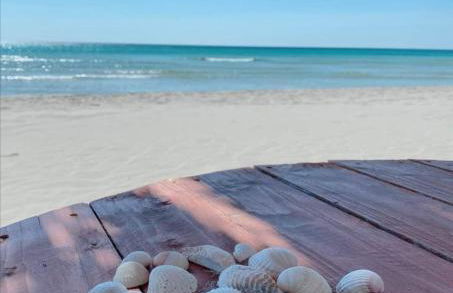 La Dolce Vita - Apartment with shared pool and large terrace - Foto 80