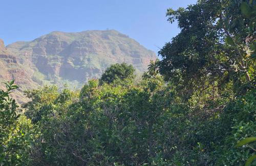 Casa Camino Tamadaba - Foto 47