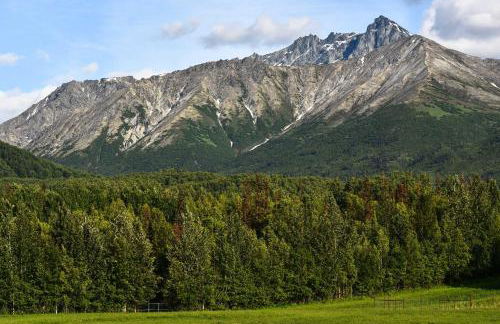 Legacy Mountain Lodge on 40-Acre Ranch with Views! - Foto 3