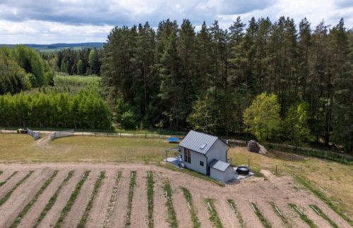 Okno na winnicę - Foto 46