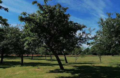 Gite LA ROCHERIE - Photo 40