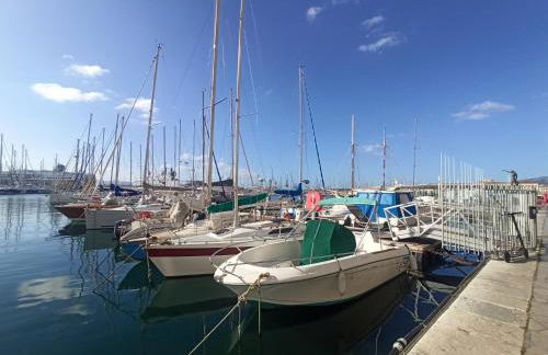 GreenPeace - Host Provence - Foto 22