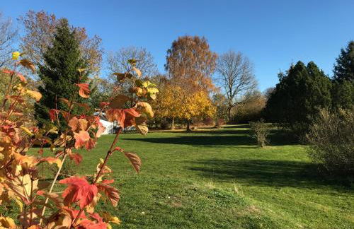 Ostsee Apartments Salzhaff - Photo 23