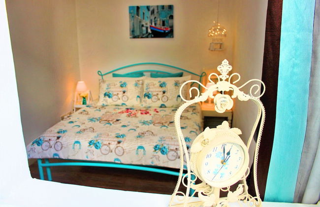 Maltese Maltese - Foto 12