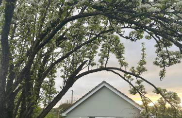 Ashbourne Cottage - Foto 33