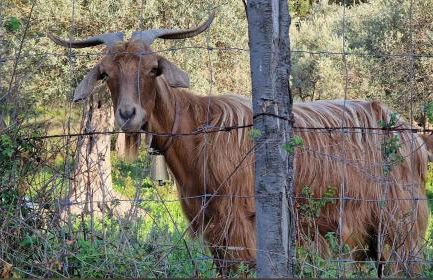 Agriturismo Serre - Foto 21
