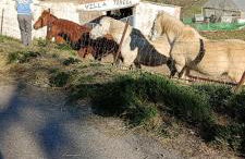 Xenia Alojamientos - Foto 66