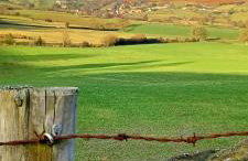 Serendipity cottage - Photo 9