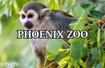 Windchime - Multiple Patios - Mins to Old Town - Foto 65