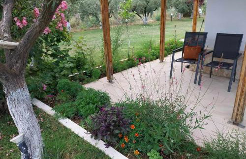 Bill & Eva's precious jewel - Photo 40