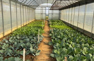 Il Poggio Agrisport - Foto 21