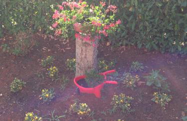 Apartments Marica - Foto 29