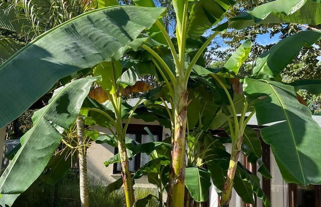 Hermosas Villa Privadas con piscina - Foto 11