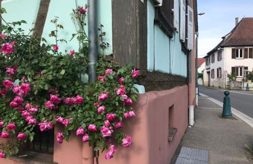 Gîte mon rêve à Scherwiller avec SPA sur la route des vins au coeur de l'alsace - Foto 4