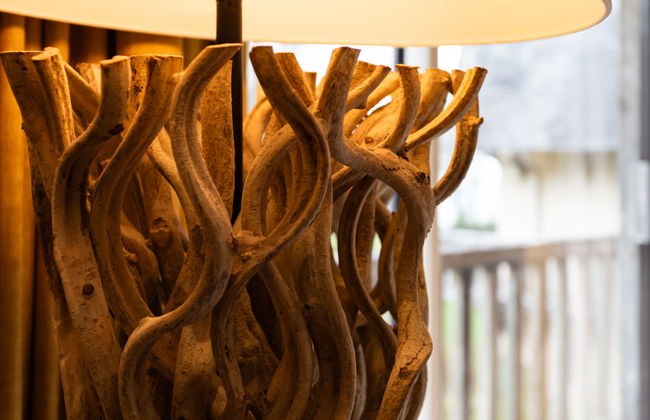 Les Hauts de Deauville - Foto 10