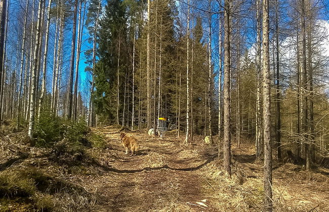 Villa akuliina - Foto 8