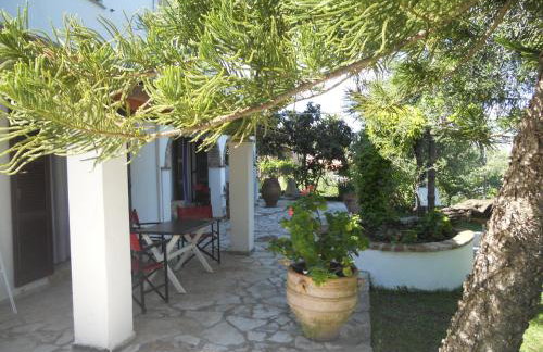 Gina Studios - Foto 26