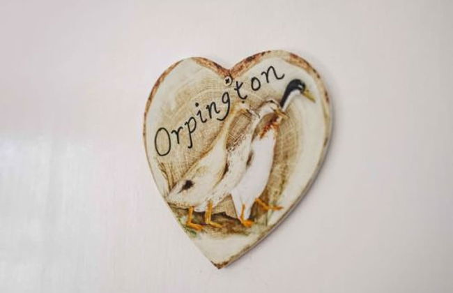 Host Stay The Orpington Garden Studio - Foto 33