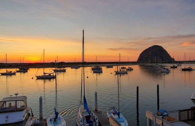 Gray's Inn & Gallery - Foto 37