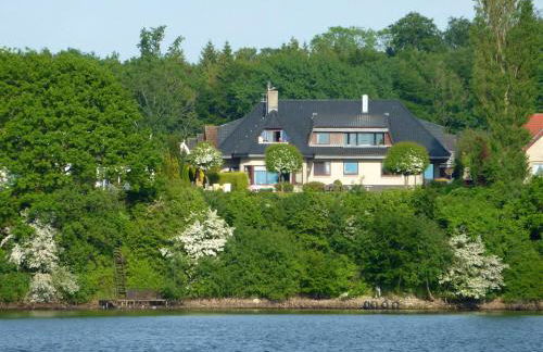 Fischreiher 1 - Foto 1