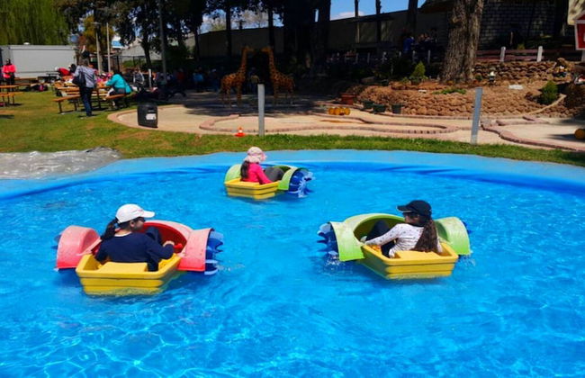 Diamant Vert - Photo 38